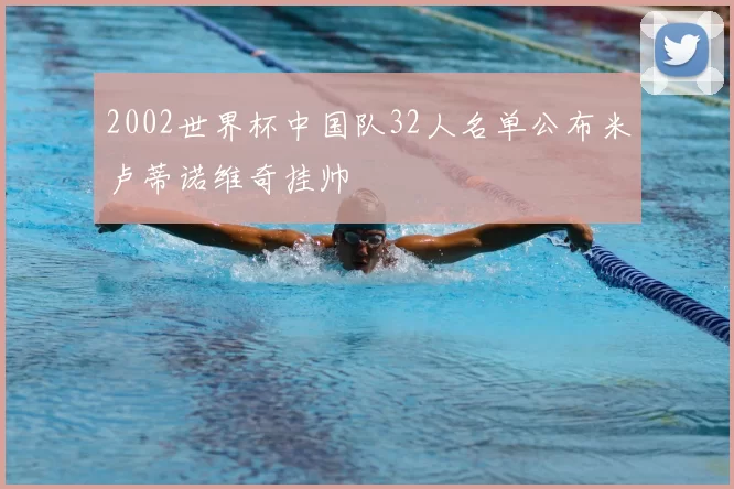 2002世界杯中国队32人名单公布米卢蒂诺维奇挂帅