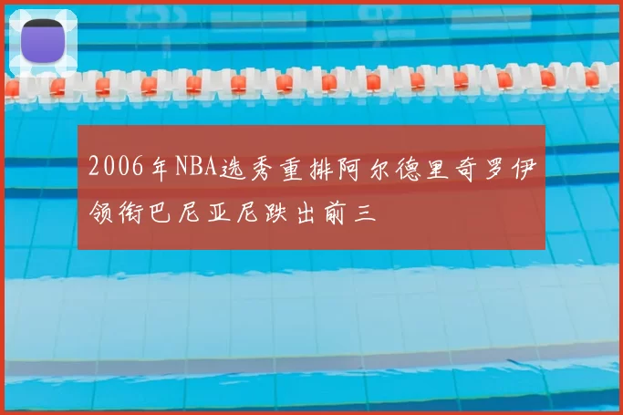 2006年NBA选秀重排阿尔德里奇罗伊领衔巴尼亚尼跌出前三