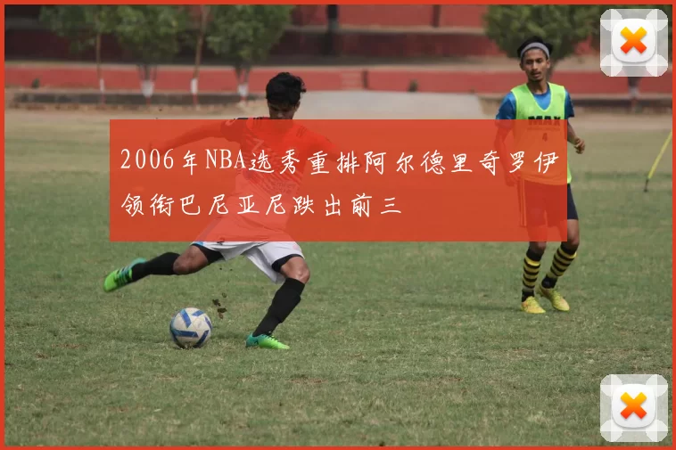 2006年NBA选秀重排阿尔德里奇罗伊领衔巴尼亚尼跌出前三