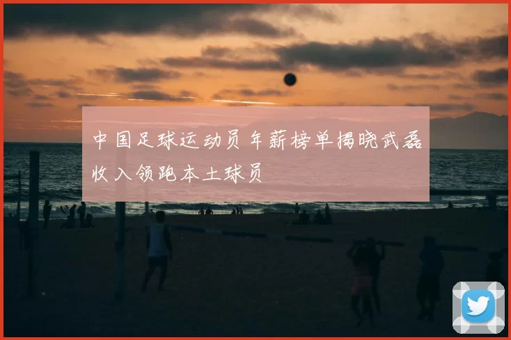 中国足球运动员年薪榜单揭晓武磊收入领跑本土球员