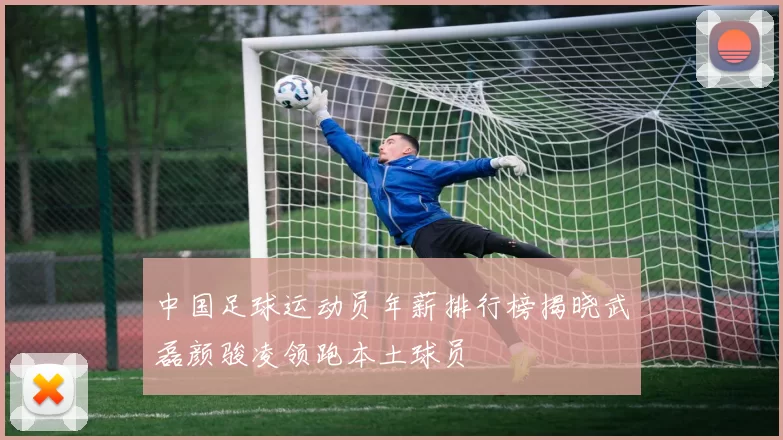 中国足球运动员年薪排行榜揭晓武磊颜骏凌领跑本土球员